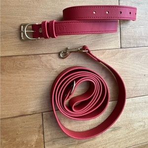 Collar and leash set from Genuine Canine